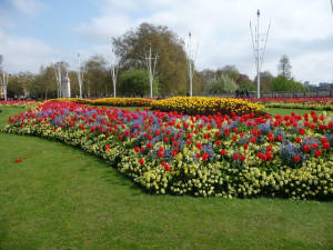 FlowersBuckingham.jpg