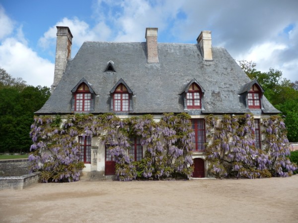 ChenonceauWisteria.jpg