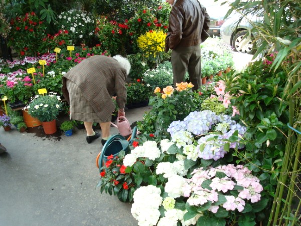 FlowerMartOldLady.jpg